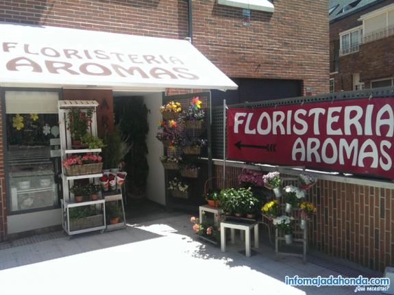 FLORISTERÍA AROMAS