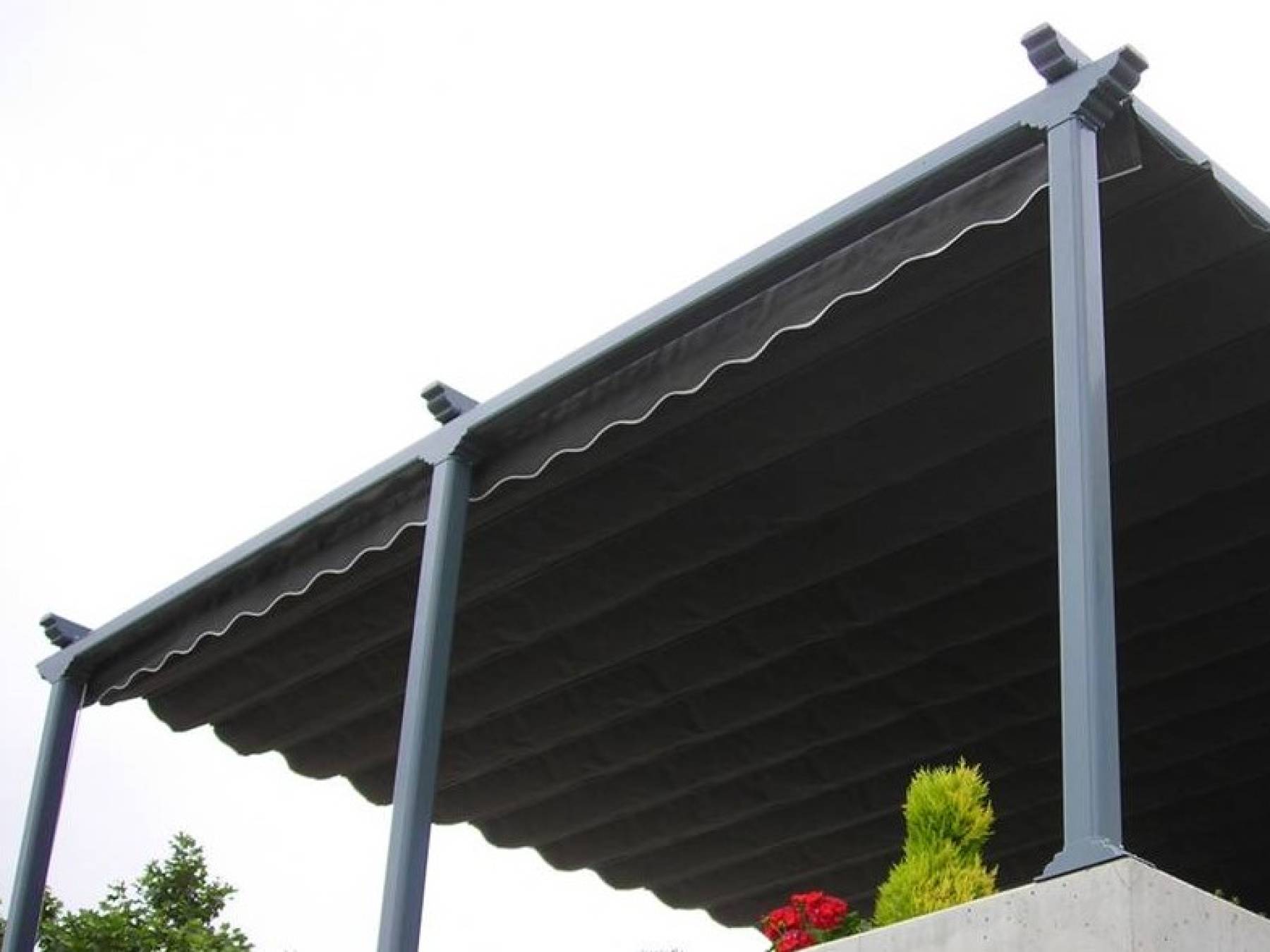 ESPACIO ORGÁNICO