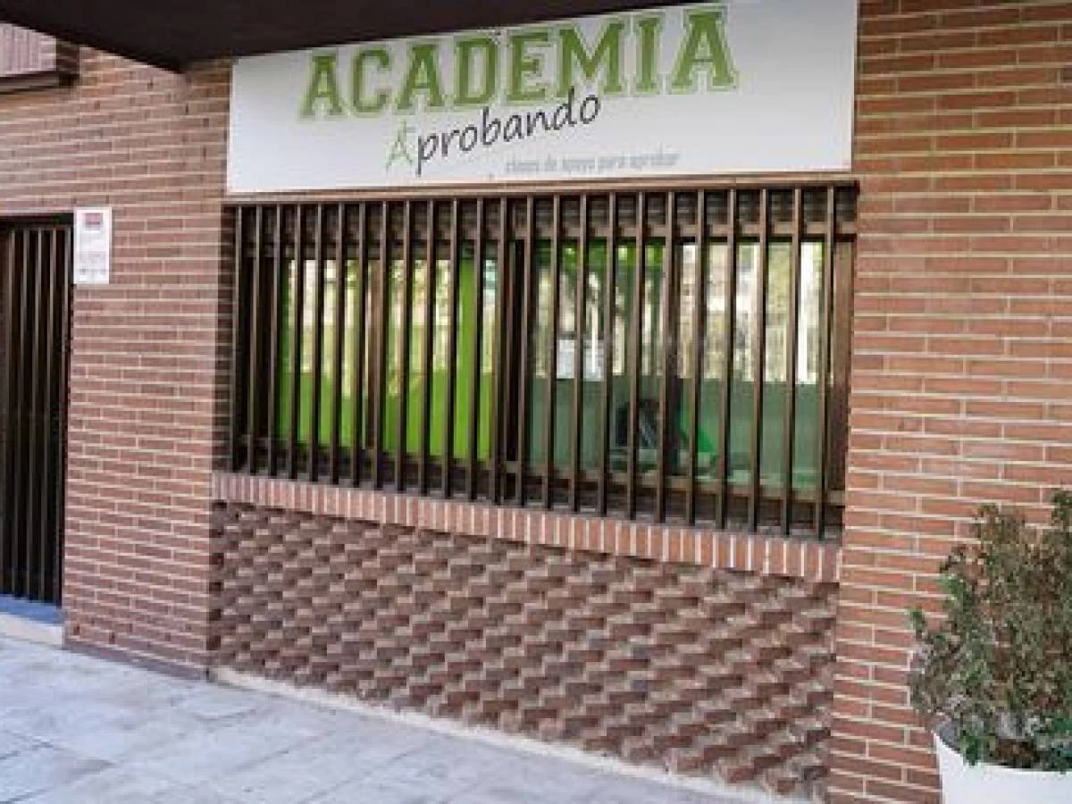 ACADEMIA APROBANDO POZUELO