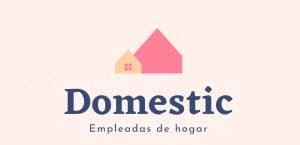 logo DOMESTIC