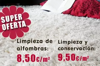 Limpieza de alfombras a domicilio