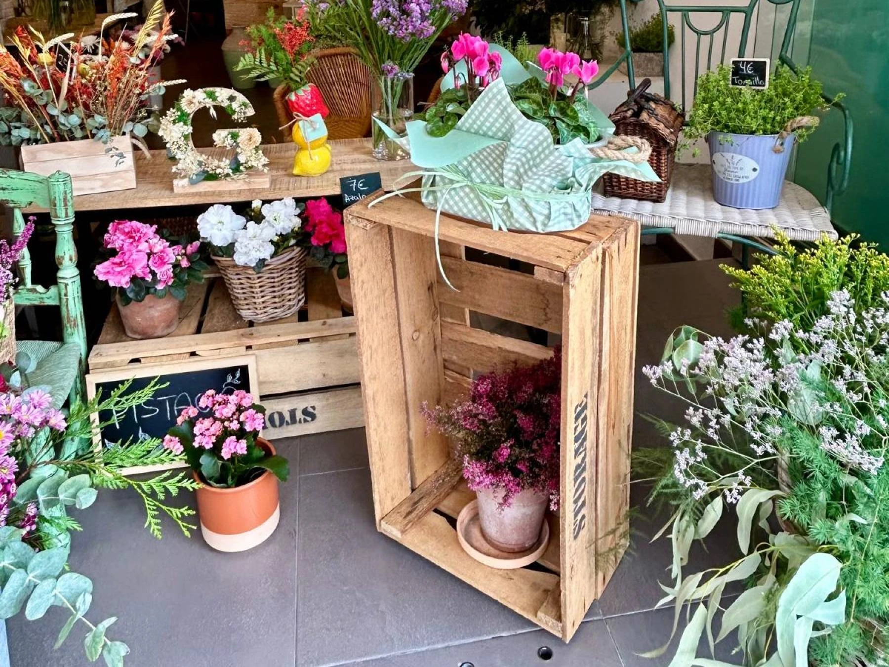 Flores preservadas en Pistacia