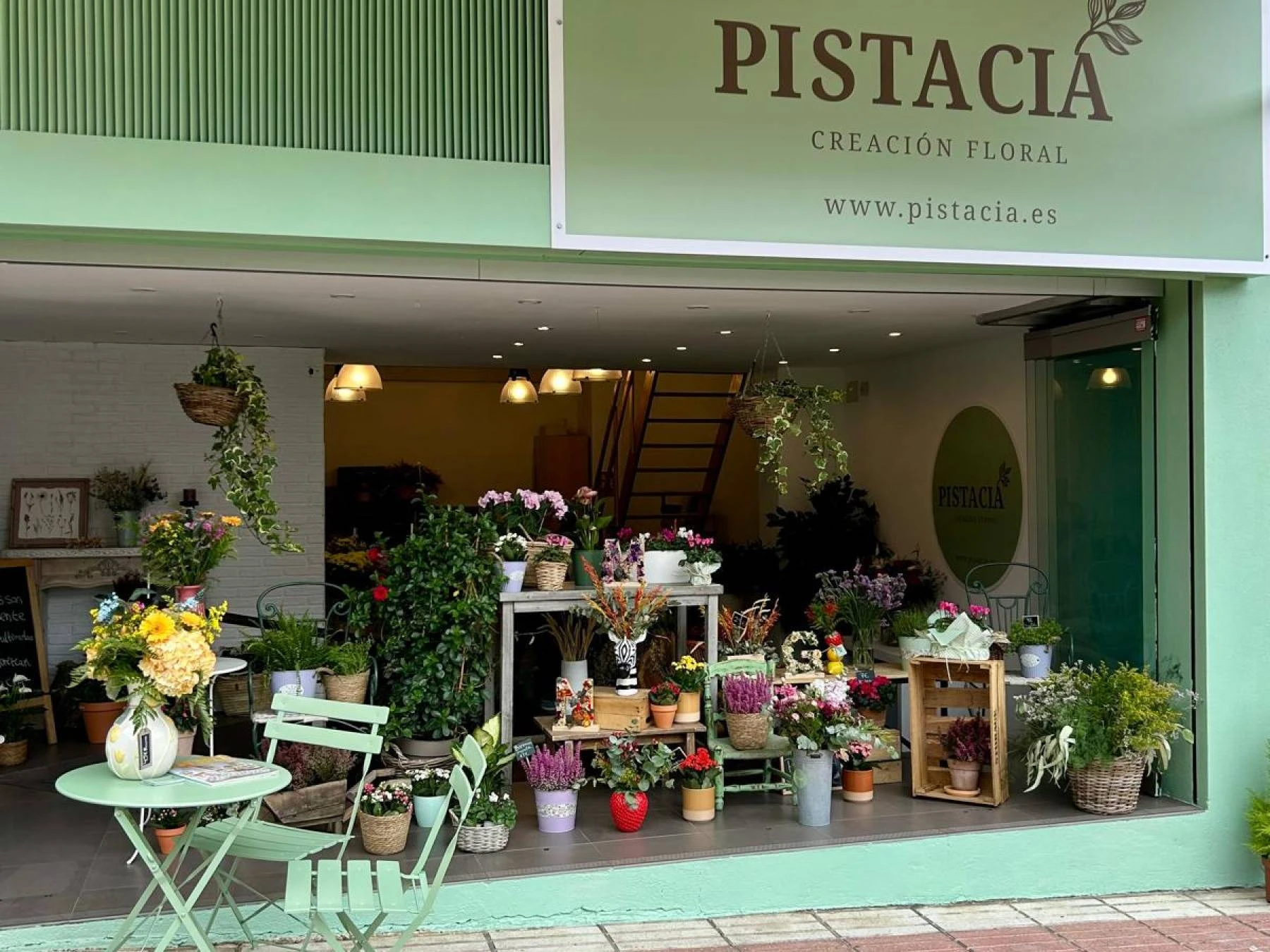 Pistacia Creación Floral