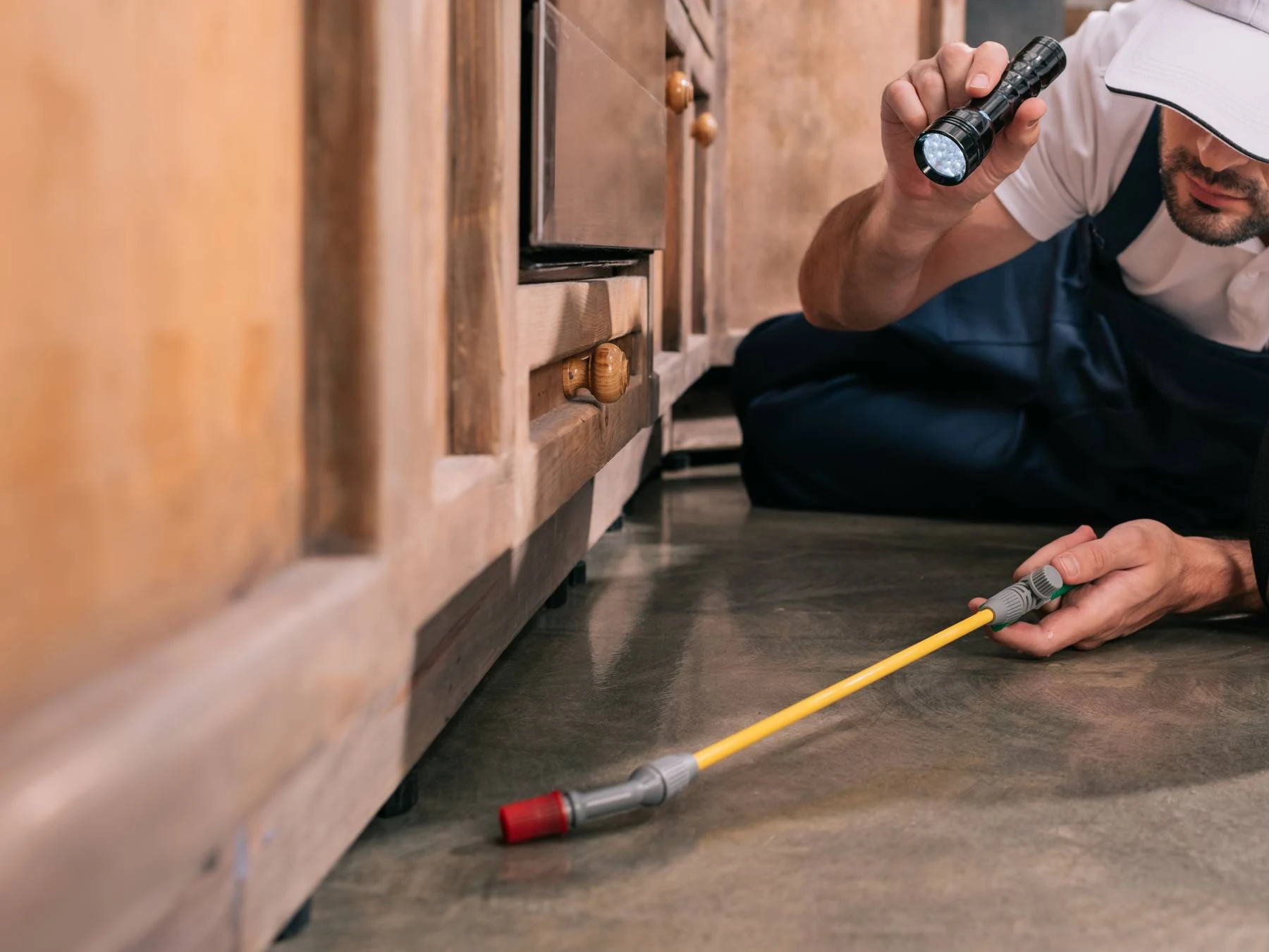 Control de Plagas en domicilios particulares