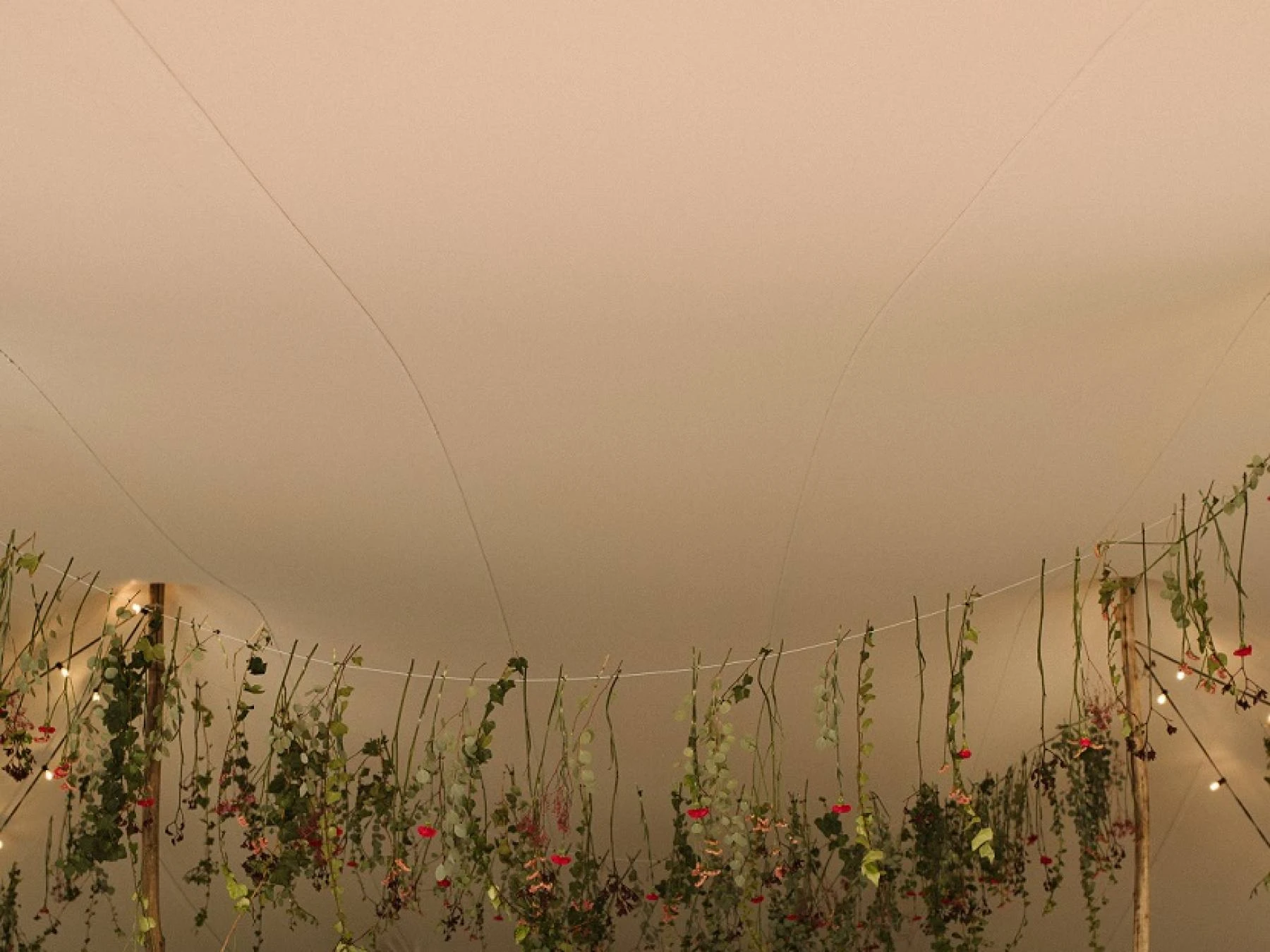 Decoraciones para fiestas