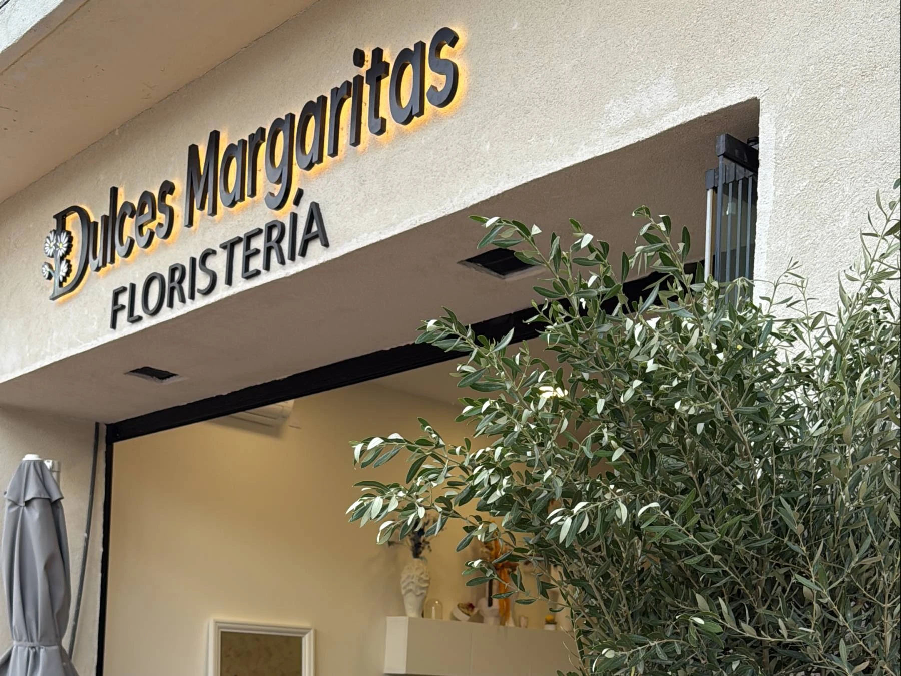 Floristería Dulces Margaritas en Boadilla