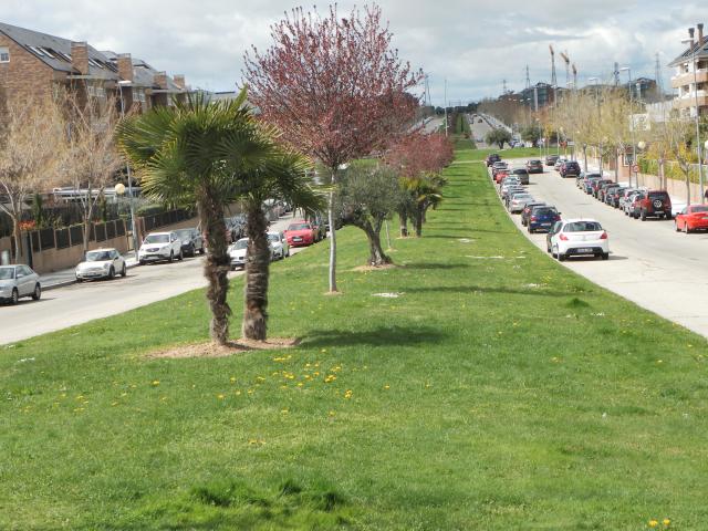 El Ayuntamiento  de Majadahonda sorteará en mayo 48 viviendas de protección para jóvenes
