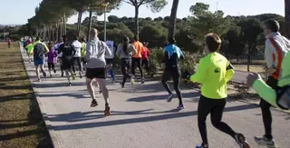 Majadahonda corre contra el cáncer