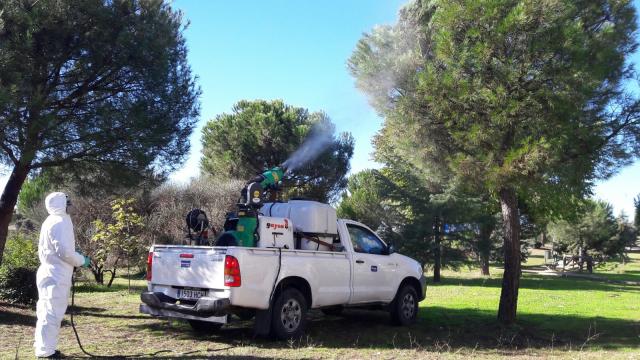 El Ayuntamiento planta más 300 árboles y culmina la campaña de prevención de la procesionaria