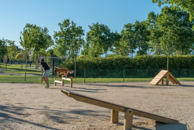 El Ayuntamiento de Majadahonda creará nuevas zonas caninas en los parques  para mejorar el control de perros sueltos