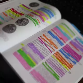IU y Somos propondrán la gratuidad de libros de texto para el próximo curso en Majadahonda