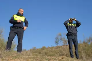 Agentes de Policía logran controlar los problemas causados por ovejas sueltas en La Dehesa