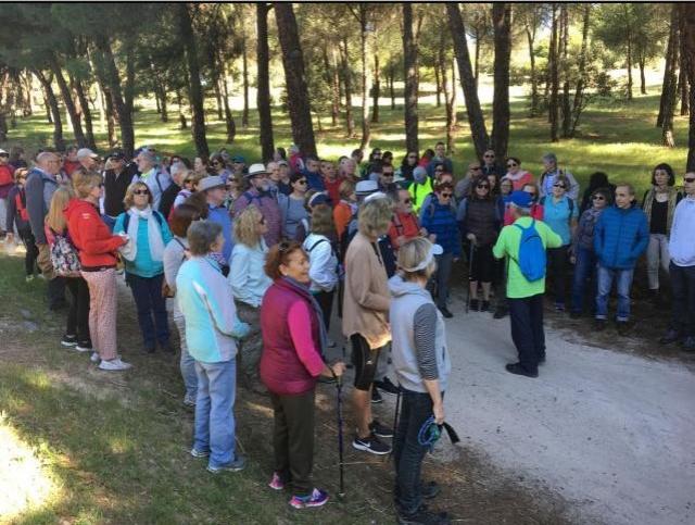 La Asociación “Amigos de los Caminos” apuesta por la supresión del Patronato del Monte del Pilar