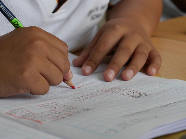 La Plataforma en Defensa de la Educación Pública de Majadahonda denuncia la posible supresión del taller de refuerzo escolar