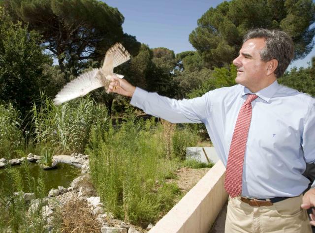 El Alcalde asiste a la liberación de varios ejemplares de cernícalo vulgar
