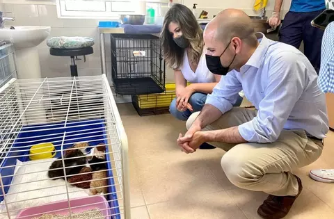 El CICAM  de Majadahonda ha hecho posible 127 adopciones de perros y gatos en un año 