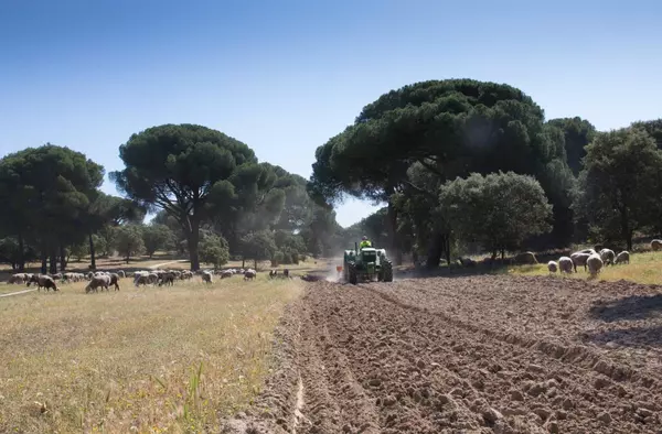 El Monte del Pilar activa el plan contra incendios y renueva el servicio de vigilancia  