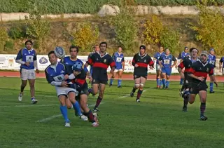 Club Rugby Majadahonda: Resumen de la jornada del 9-11-2008.