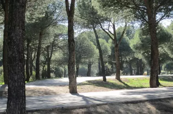 El PSOE pide la rehabilitación de los caminos naturales de Majadahonda y un plan para su limpieza y mantenimiento 