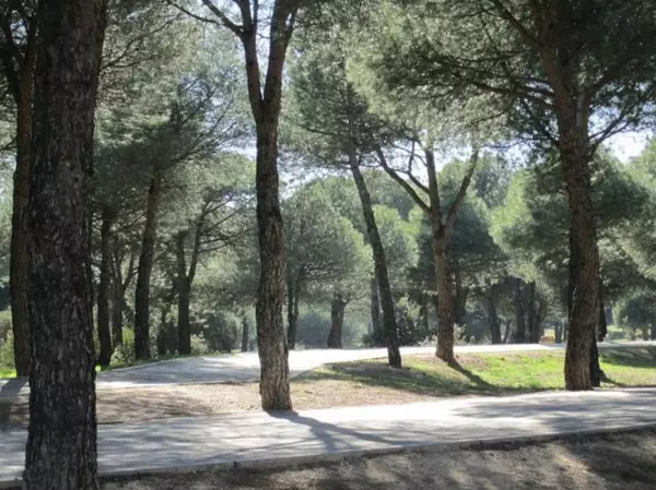 PSOE Majadahonda promueve un acuerdo histórico para la mejora de la gestión del Monte del Pilar