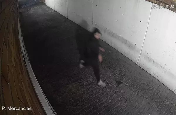 Detenido un veinteañero por causar cuatro incendios en Majadahonda