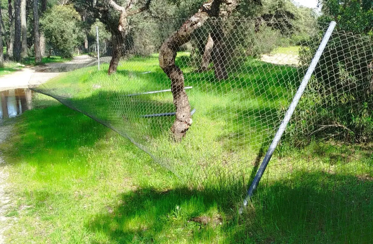 El PSOE de Majadahonda exige la retirada inmediata de vallas caídas en el Monte del Pilar