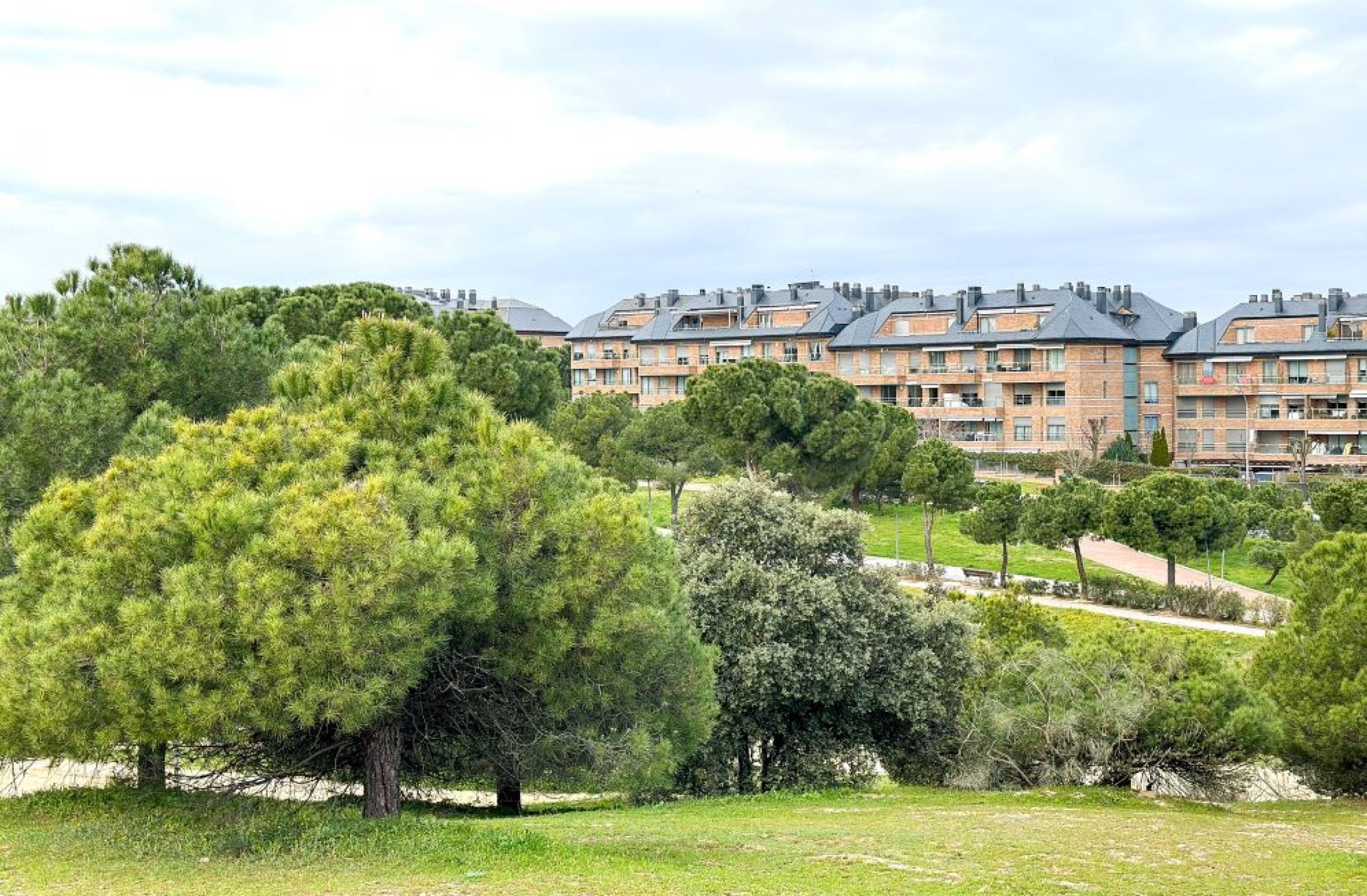 El Ayuntamiento de Majadahonda destinará más de 3 millones de euros al mantenimiento de los parques y jardines