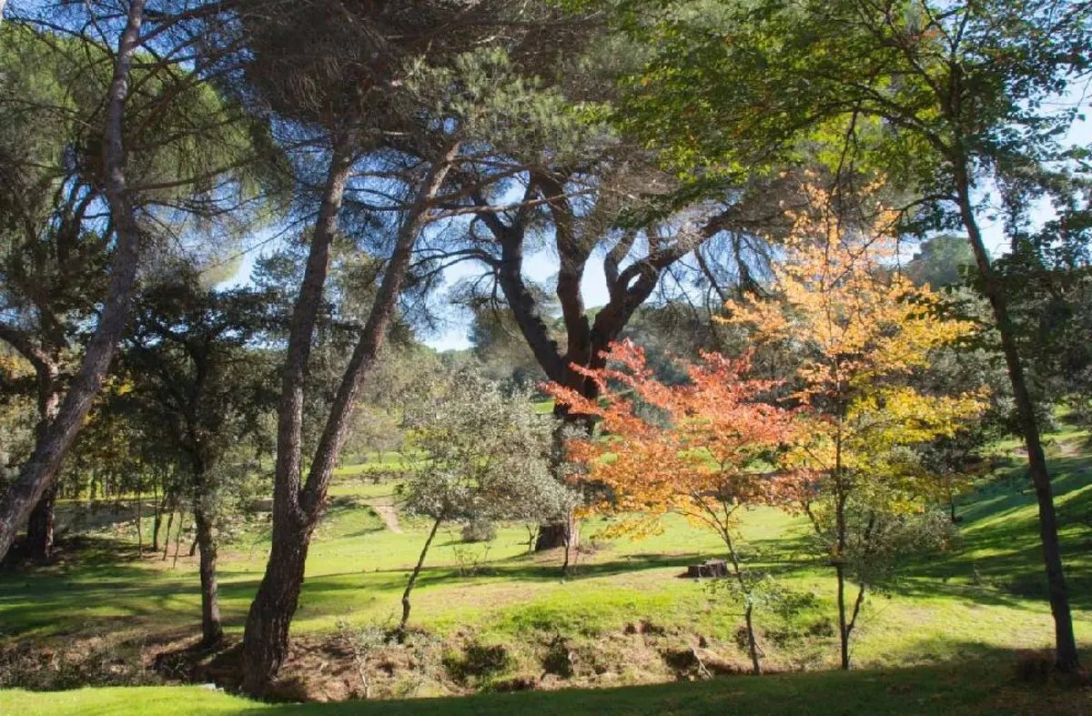 El Ayuntamiento integra el Patronato del Monte del Pilar en el servicio de Medio Ambiente de Majadahonda