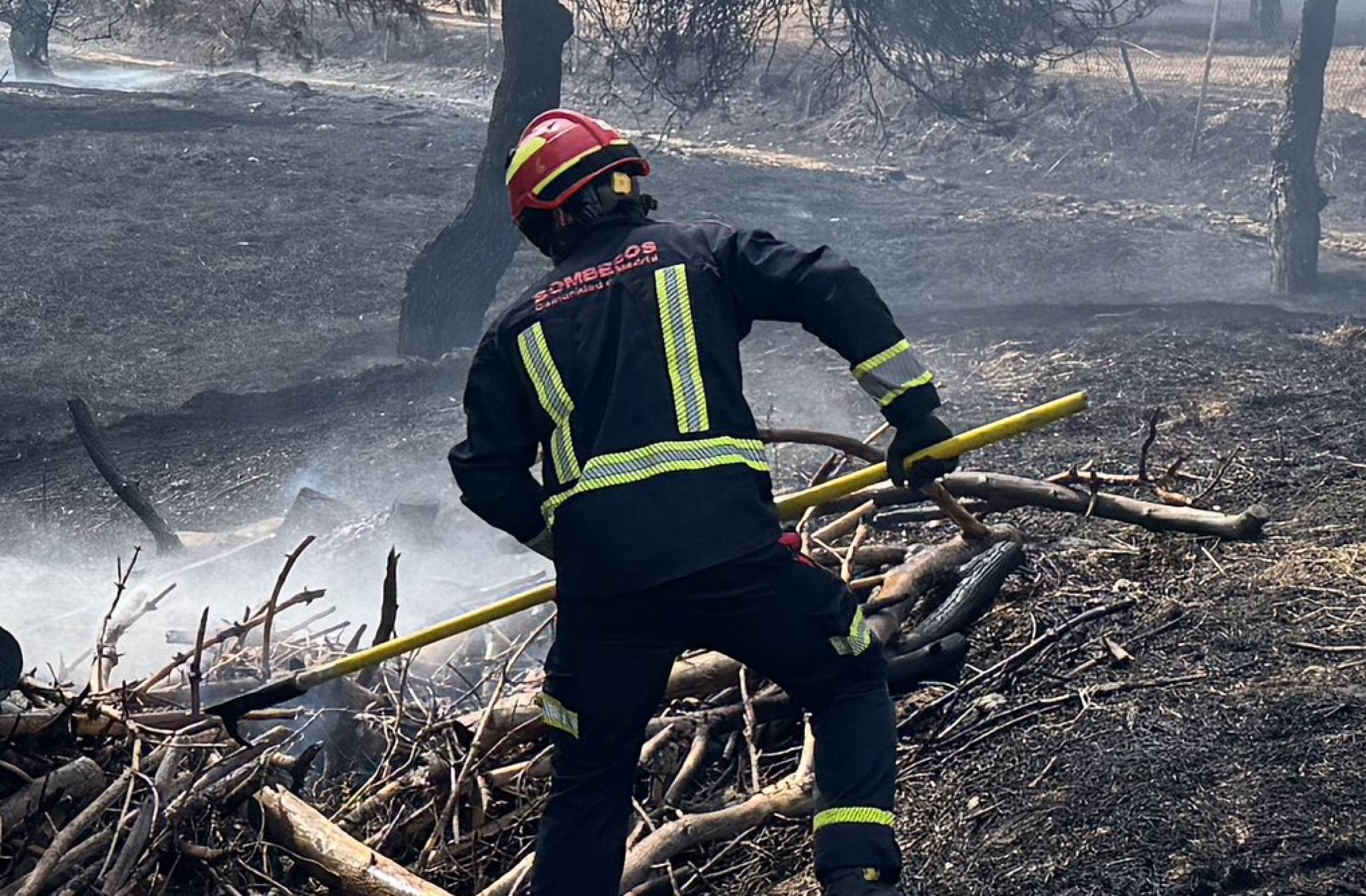 Pozuelo y Majadahonda arden en pleno agosto: dos incendios en menos de 24h