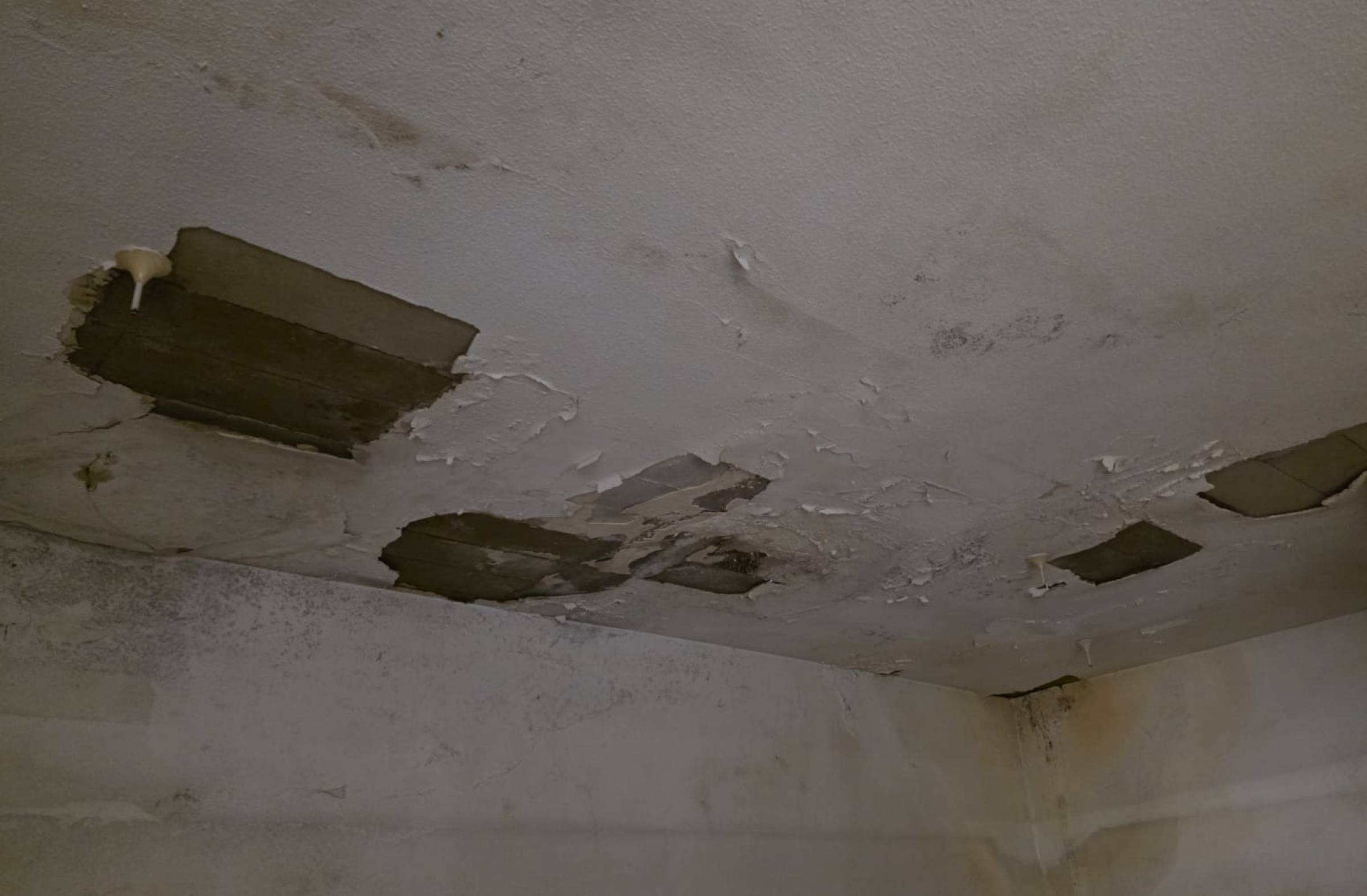 
                                                    Goteras, frío y averías: denuncian falta de mantenimiento en colegios públicos de Majadahonda