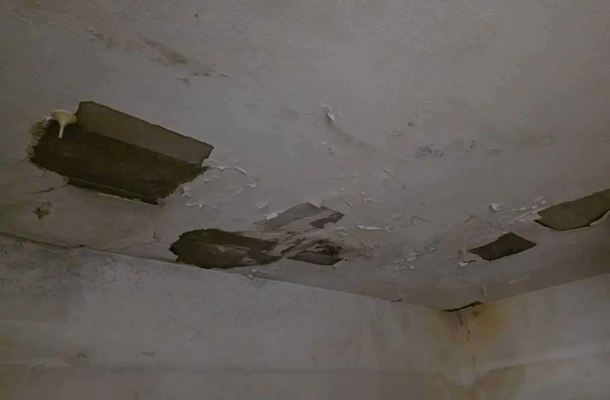 Goteras, frío y averías: denuncian falta de mantenimiento en colegios públicos de Majadahonda