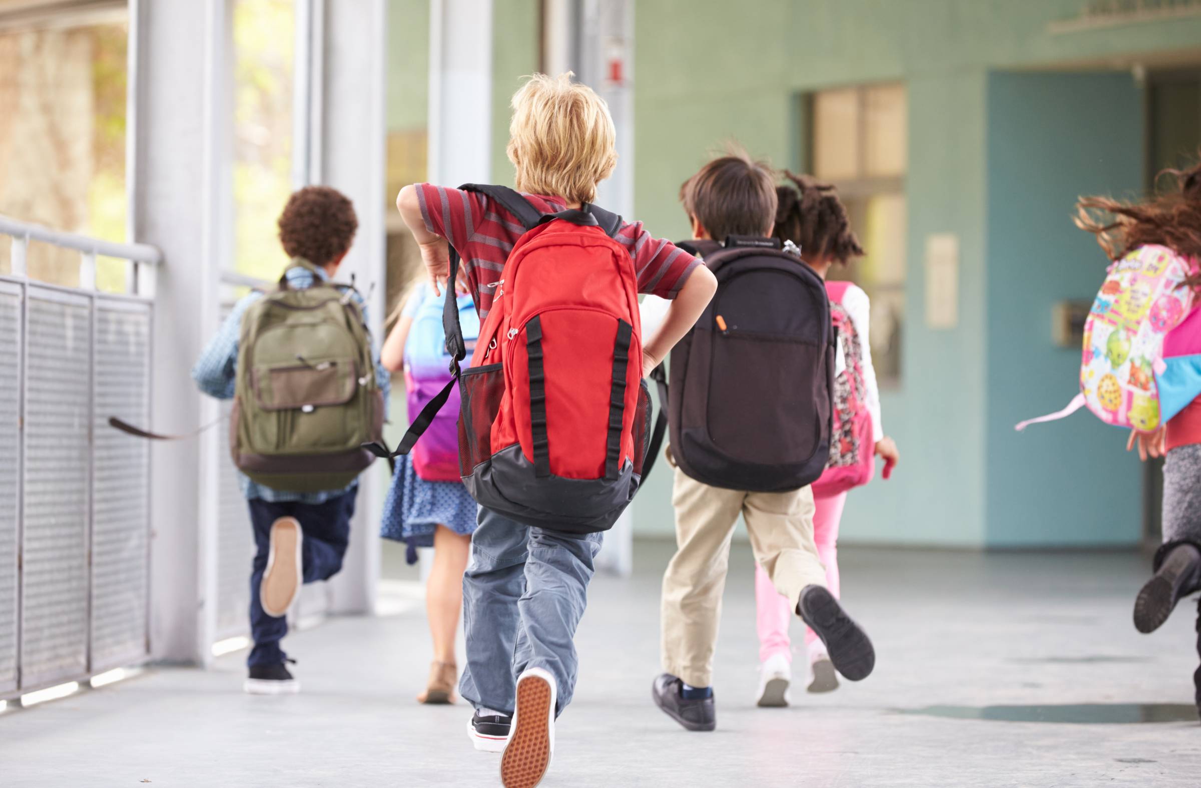 
                                                    Majadahonda aumenta las subvenciones destinadas a Educación