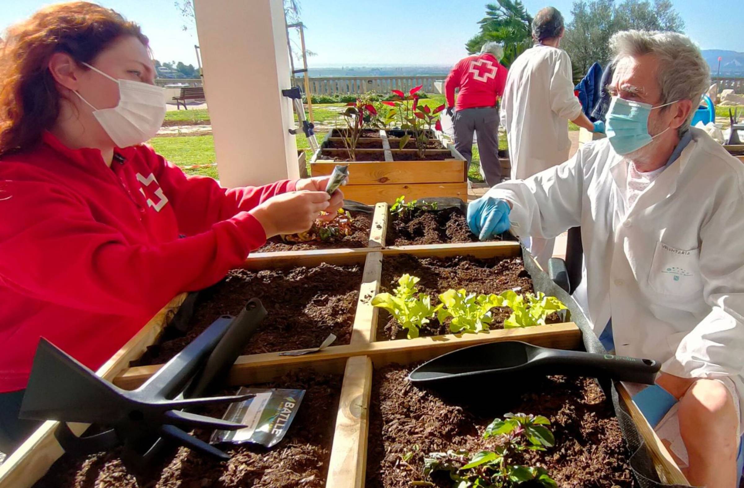 
                                                    Vecinos por Majadahonda propone huertos urbanos y jardines terapéuticos en el entorno del Hospital Puerta de Hierro