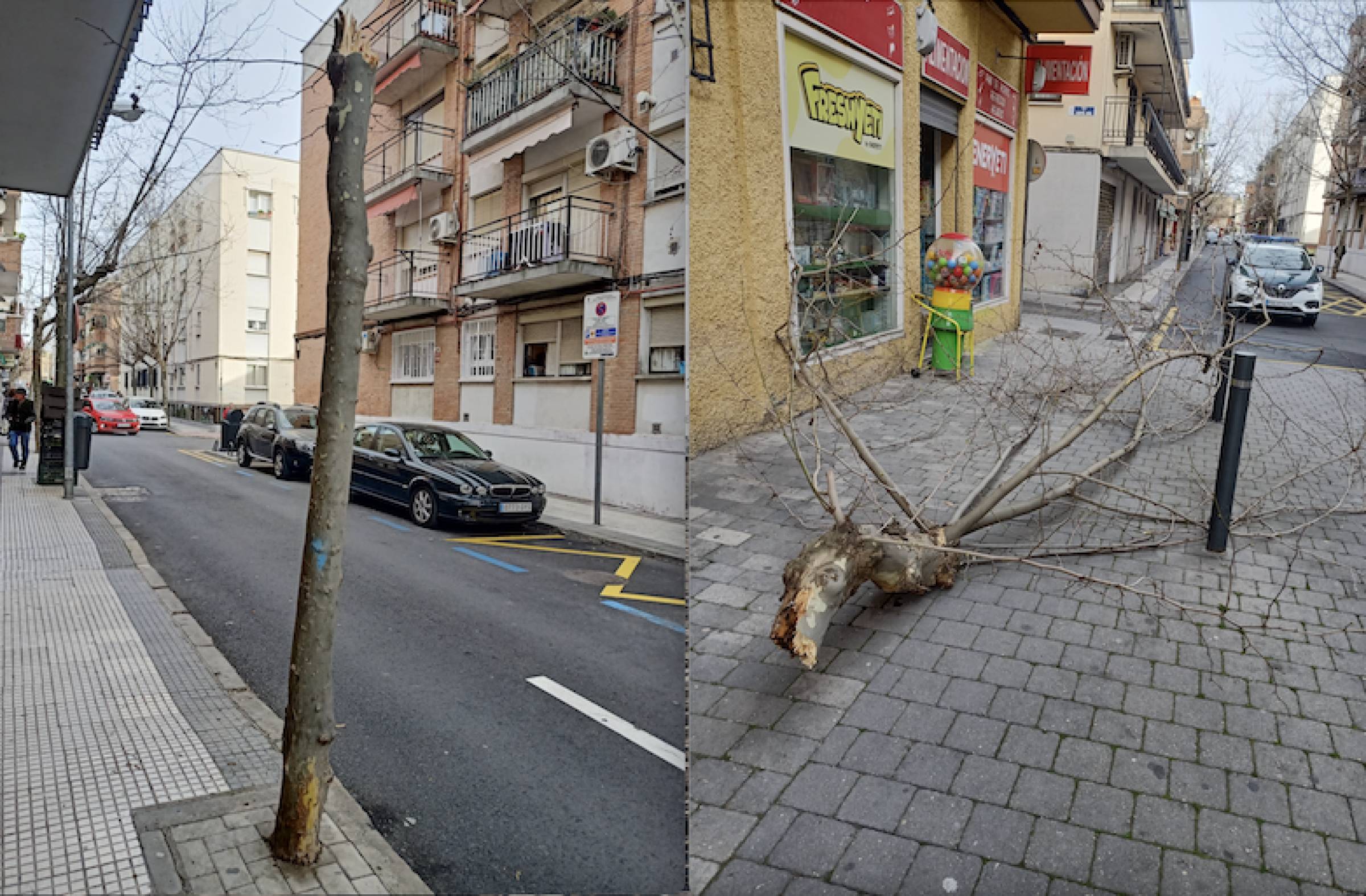 Vecinos por Majadahonda exige la poda en la zona centro y el desbroce de parcelas públicas y privadas
