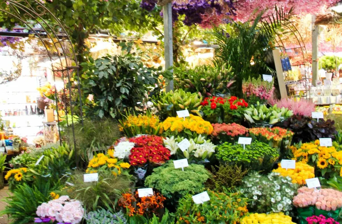 ACTIVIDADES. 'Feria de la Primavera'. Del 8 al 17 de Mayo en Las Rozas