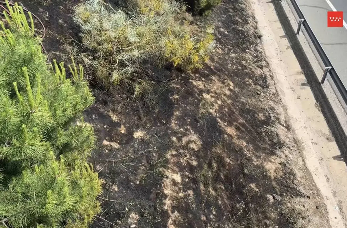   Cinco dotaciones de Bomberos intervienen por un incendio en la M-50 a su paso por Majadahonda