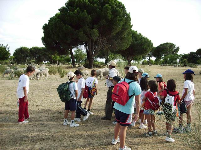 Plazas libres para los campamentos infantiles del Monte del Pilar
