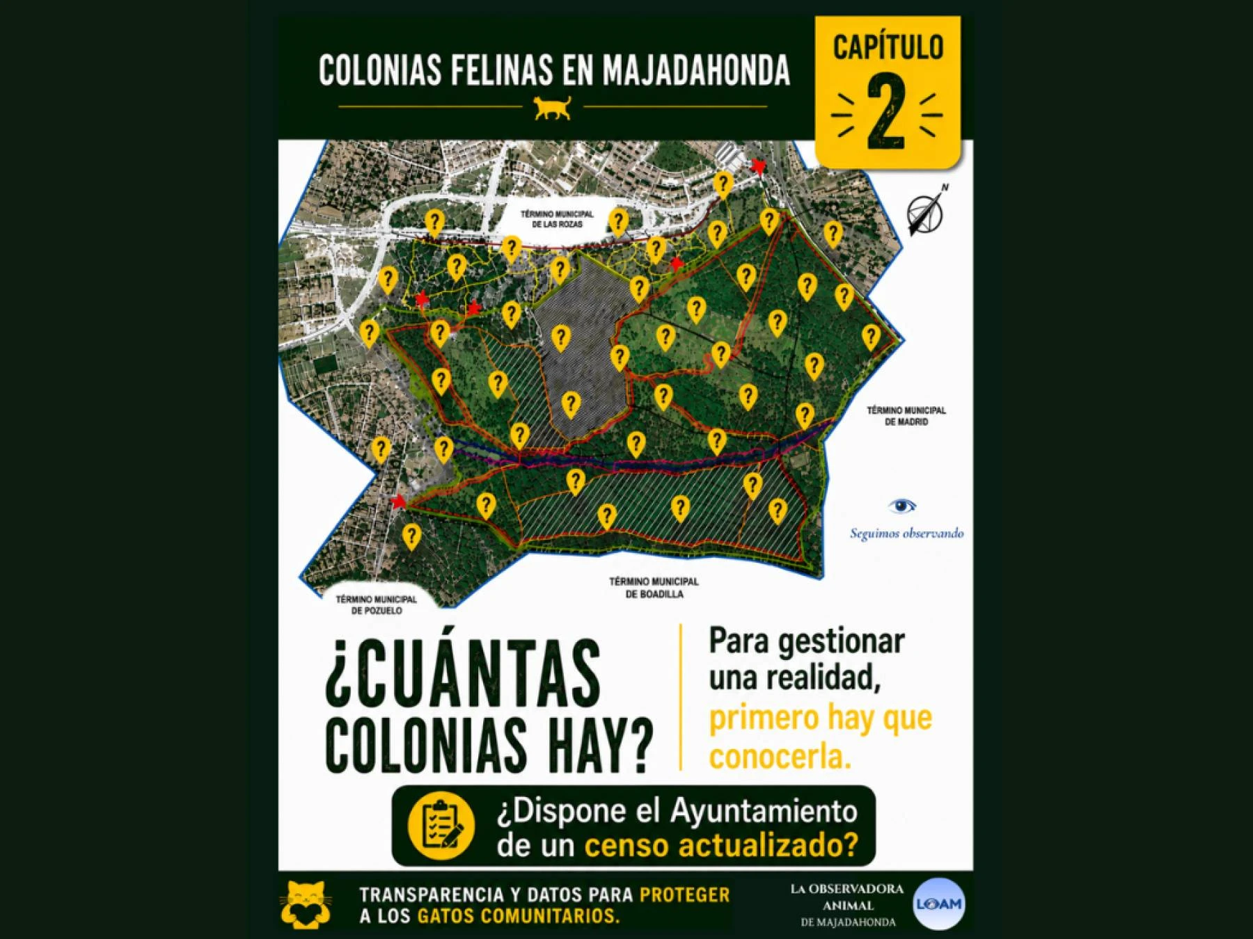 Colonias Felinas Majadahonda¿CUÁNTAS COLONIAS HAY?