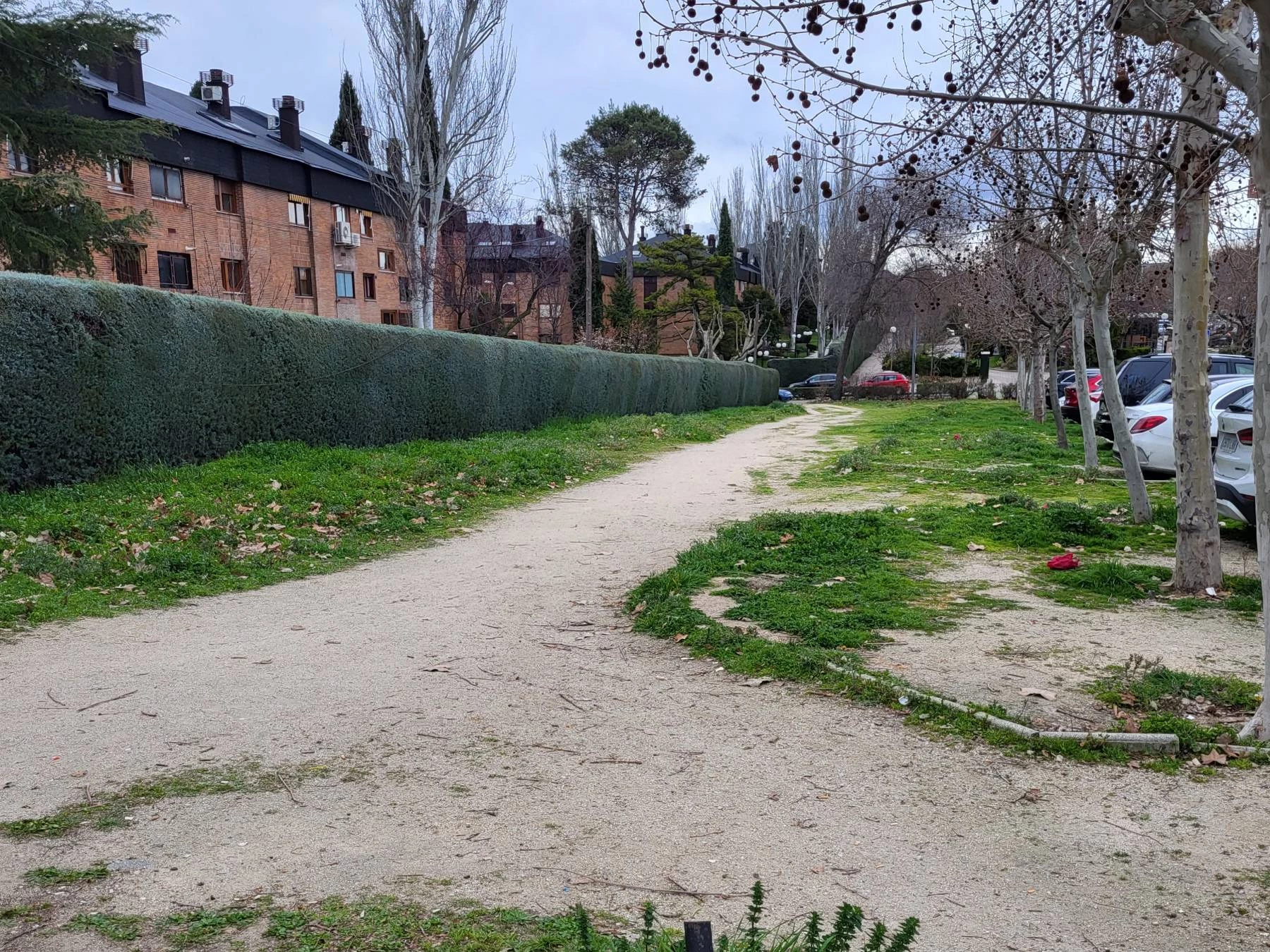 Abandono zona peatonal ZOCO
