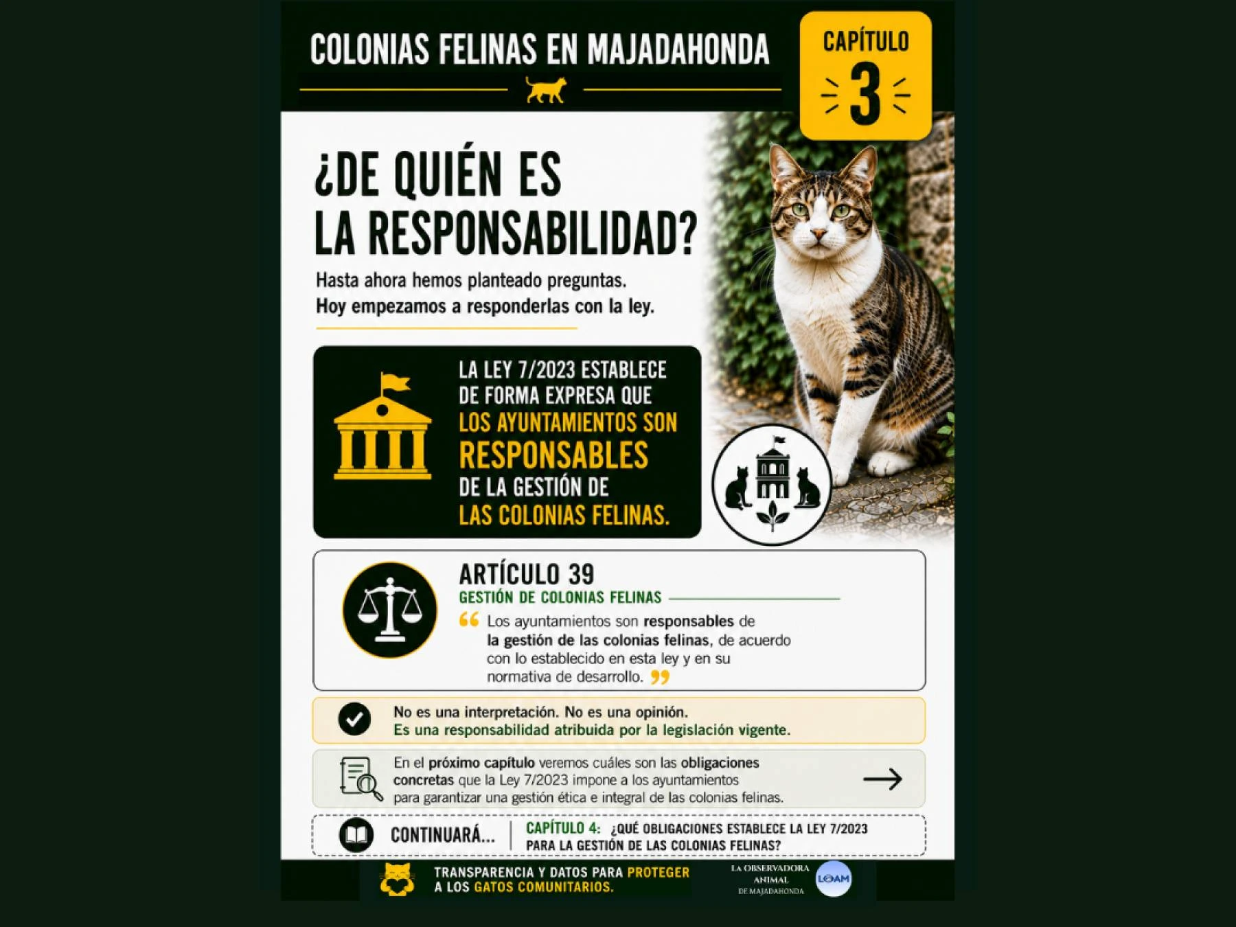 Colonias Felinas Majadahonda?QUIÉN ES RESPONSABLE?