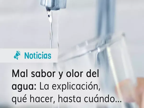 RESPUESTA ¿Por qué el agua sabe a moho?