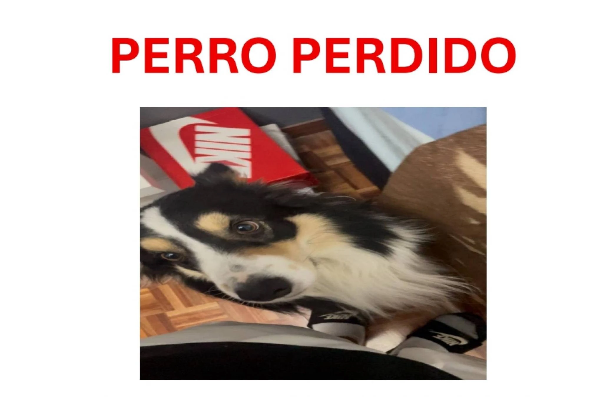 Externa 