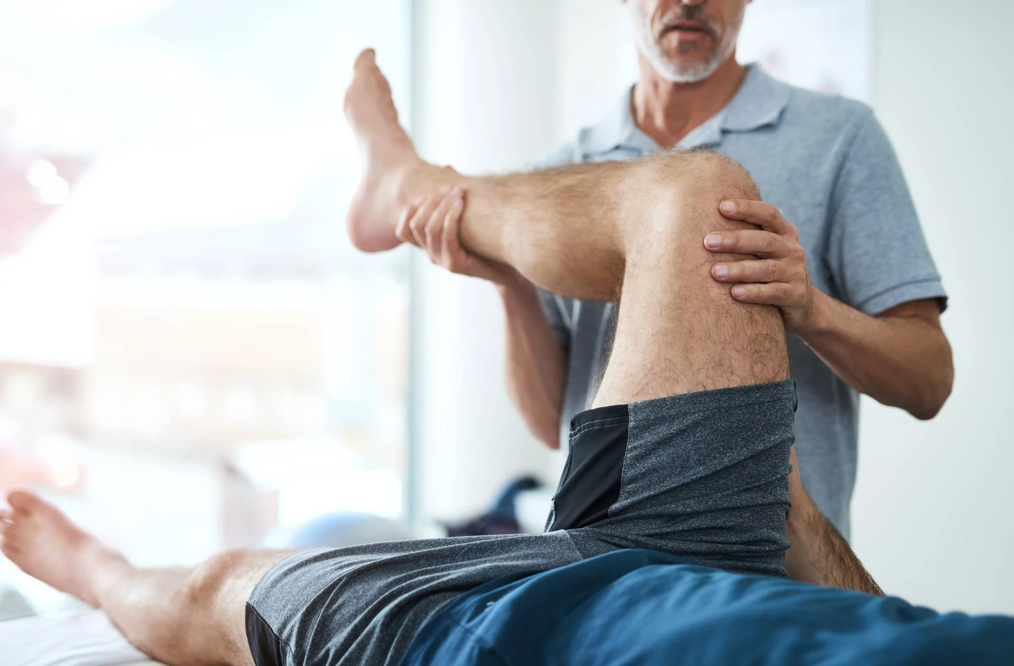 Adiestrador Canino a Domicilio