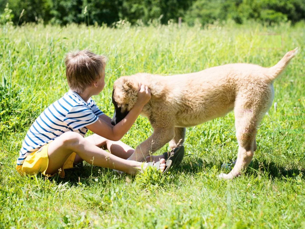 Campamento urbano 'Amor Animal', en familia